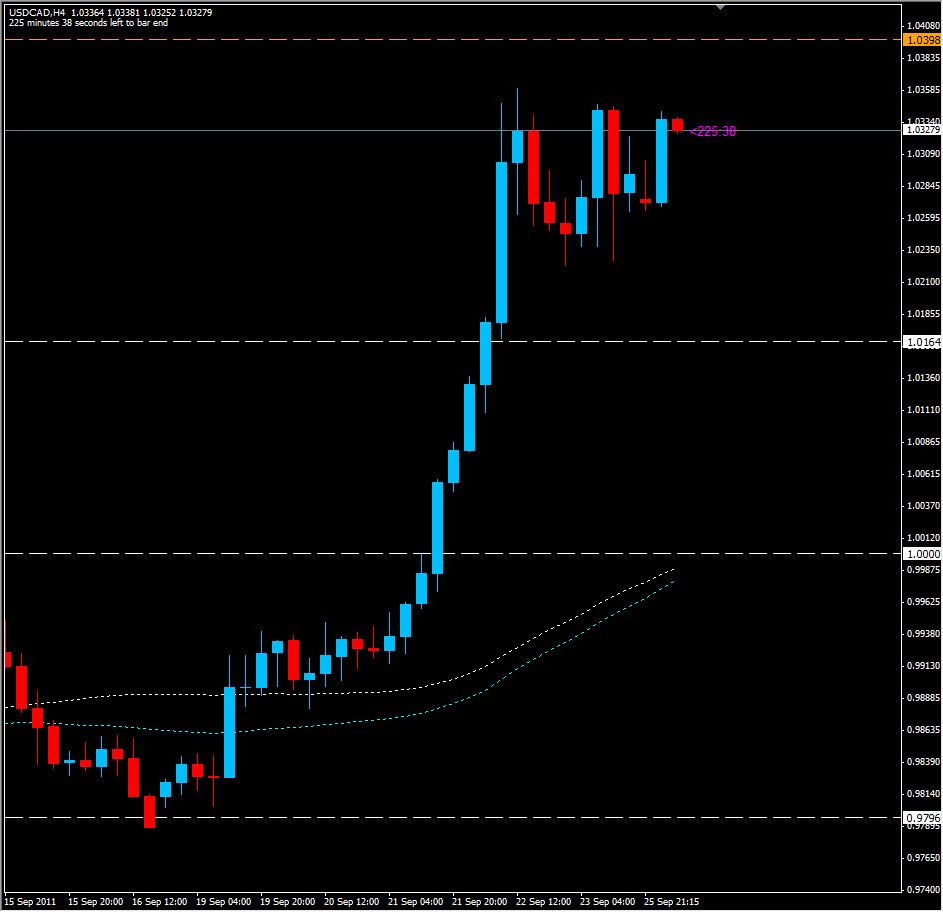 USD/CAD 4 Hour Flag